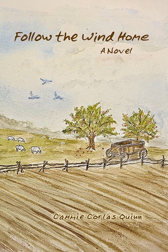 Follow the Wind Home Cover