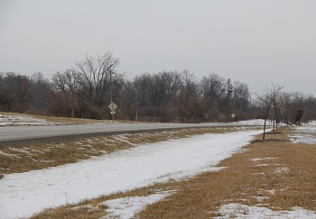 The Snowy Highway Outside Town