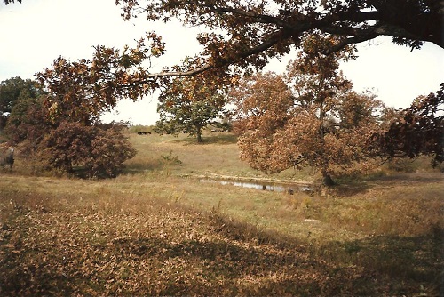 The Pond with Cement Dam in the Front Pasture